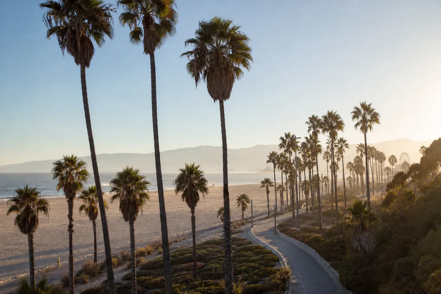 Santa Monica palms and ocean haze for Beverly Hills parents traveling west for consults | SurgiSculpt®