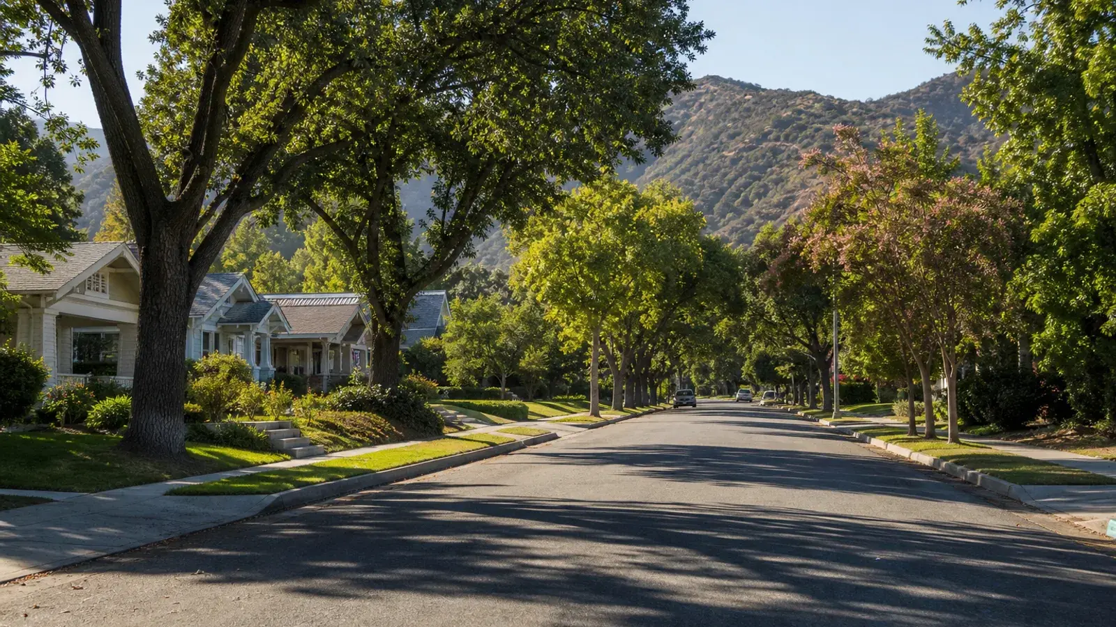 Tree-lined Burbank residential street near Verdugo foothills — BBL lifestyle mood | SurgiSculpt®