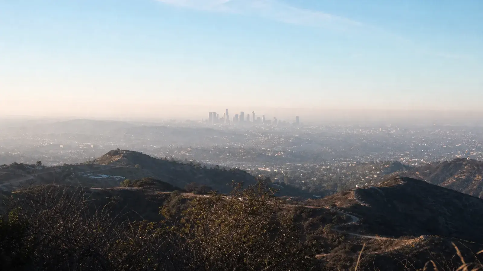 Morning panoramic view from Burbank hills toward the LA basin haze | SurgiSculpt®