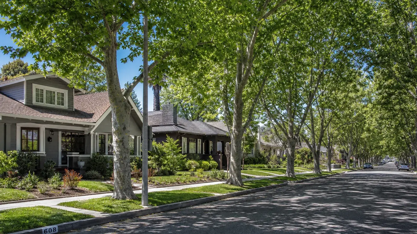 Tree-lined Burbank residential street for mommy makeover lifestyle context | SurgiSculpt®