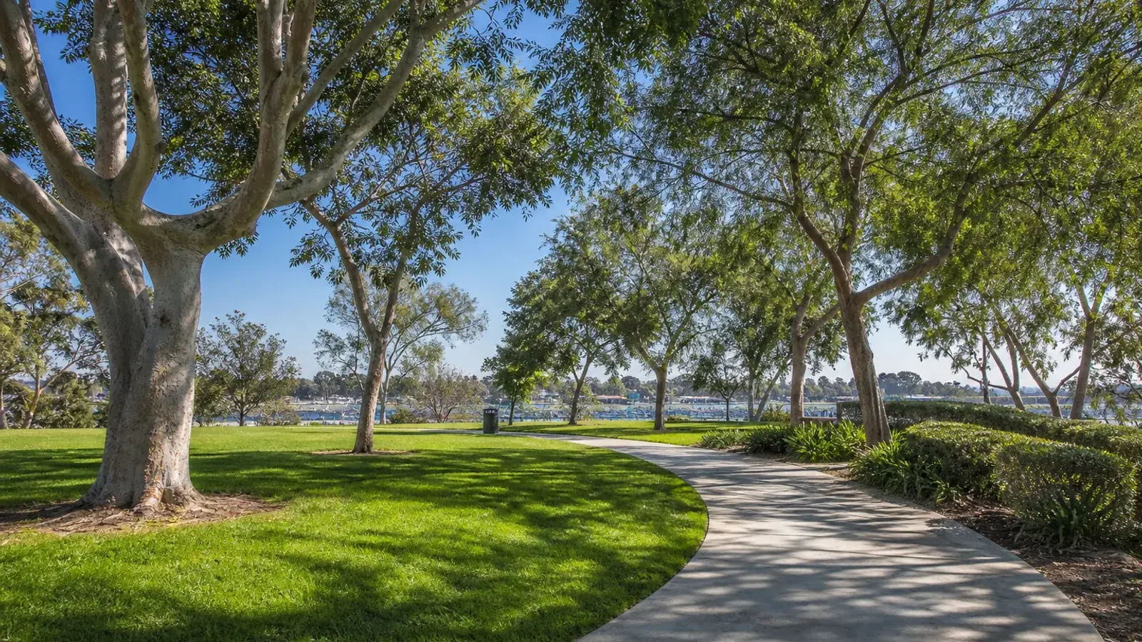 Suburban Orange County park path with shade trees — BBL Costa Mesa lifestyle | SurgiSculpt®