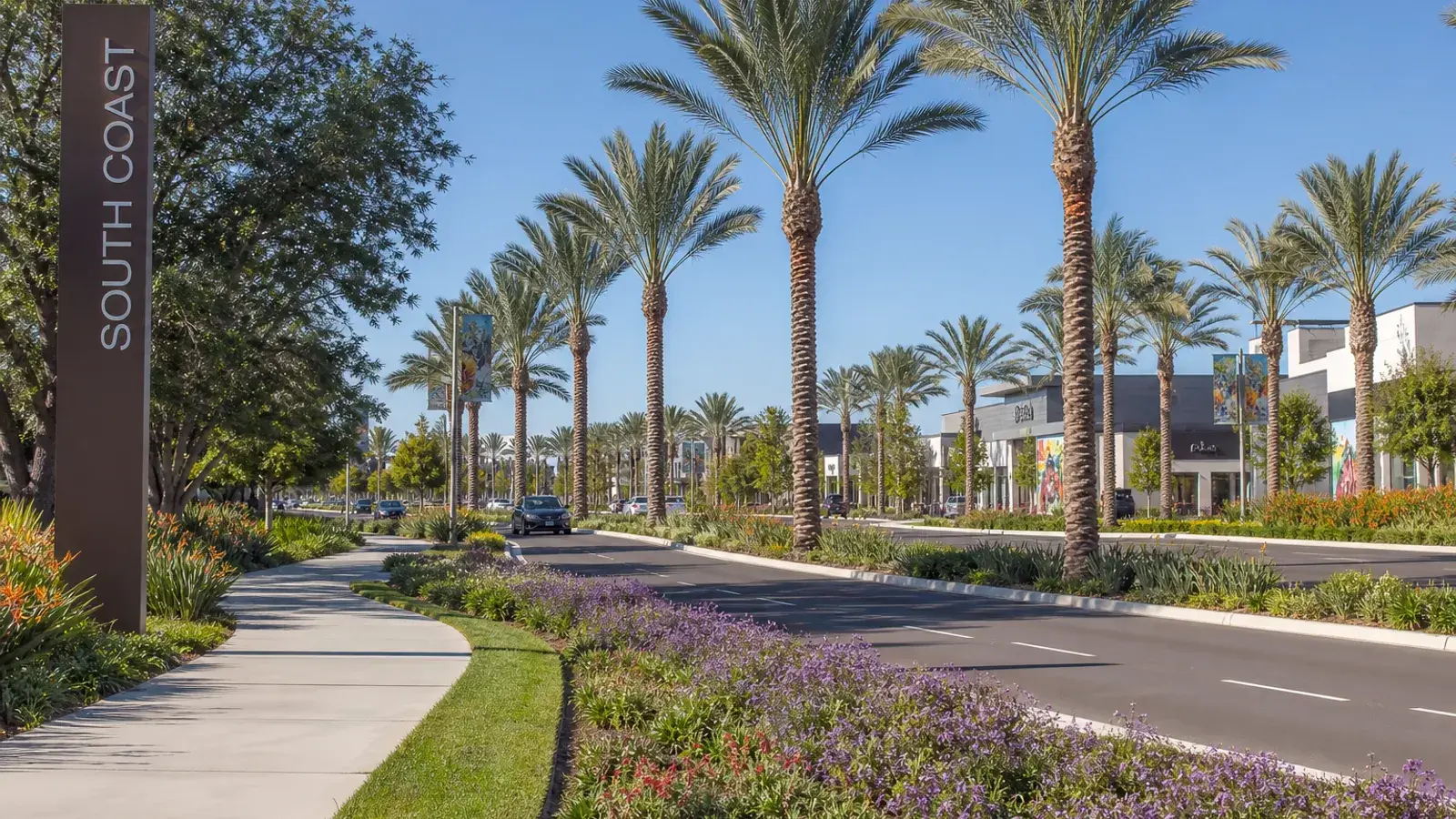 Landscaped South Coast area outdoor boulevard palms — BBL Costa Mesa context | SurgiSculpt®