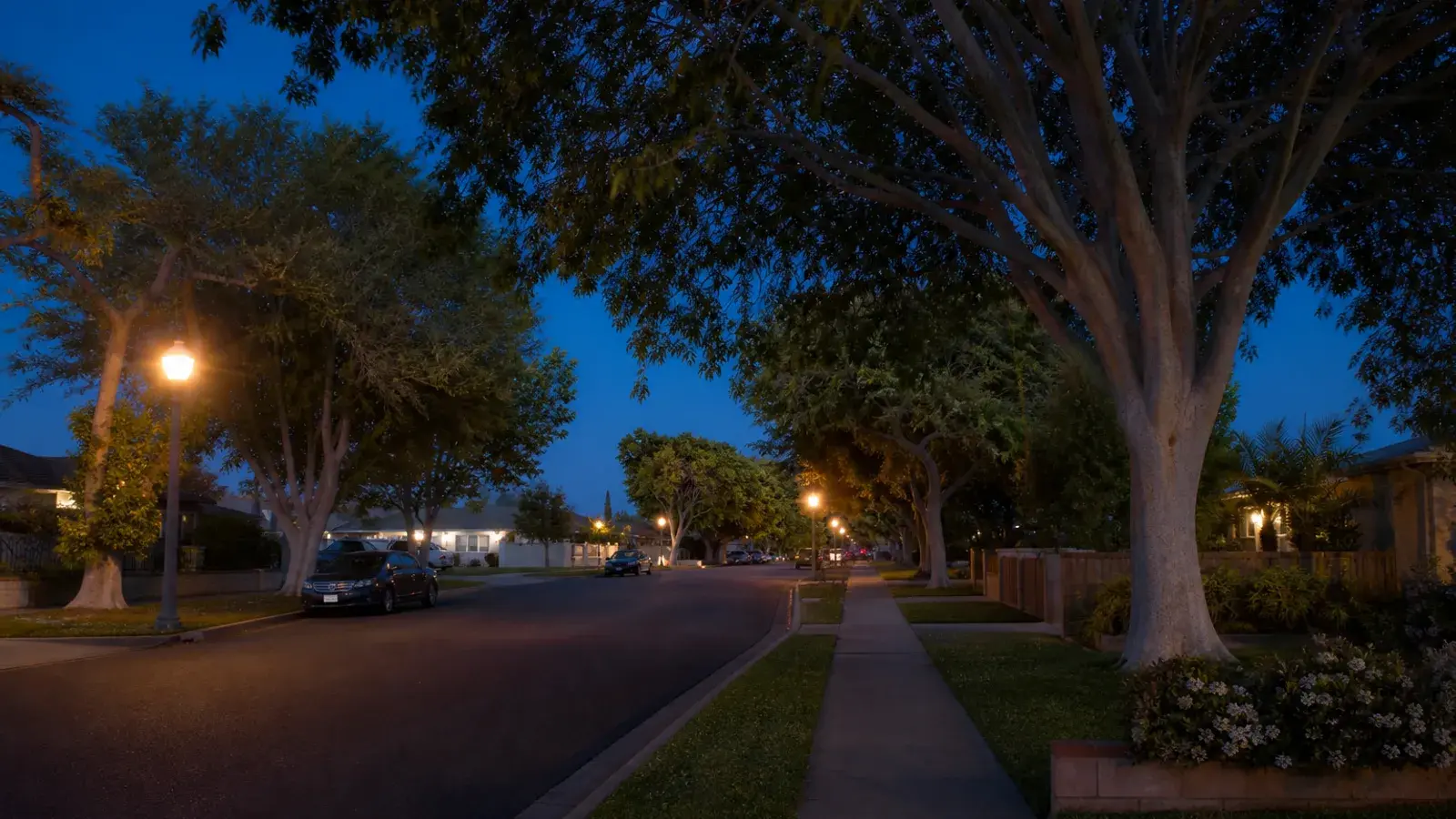 Tree-lined Costa Mesa residential street at blue hour — discreet gynecomastia logistics | SurgiSculpt®