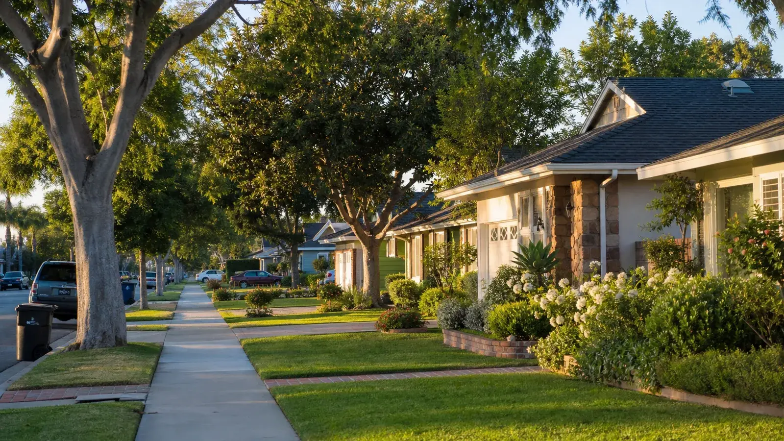 Tree-lined Costa Mesa family residential street — mommy makeover lifestyle | SurgiSculpt®