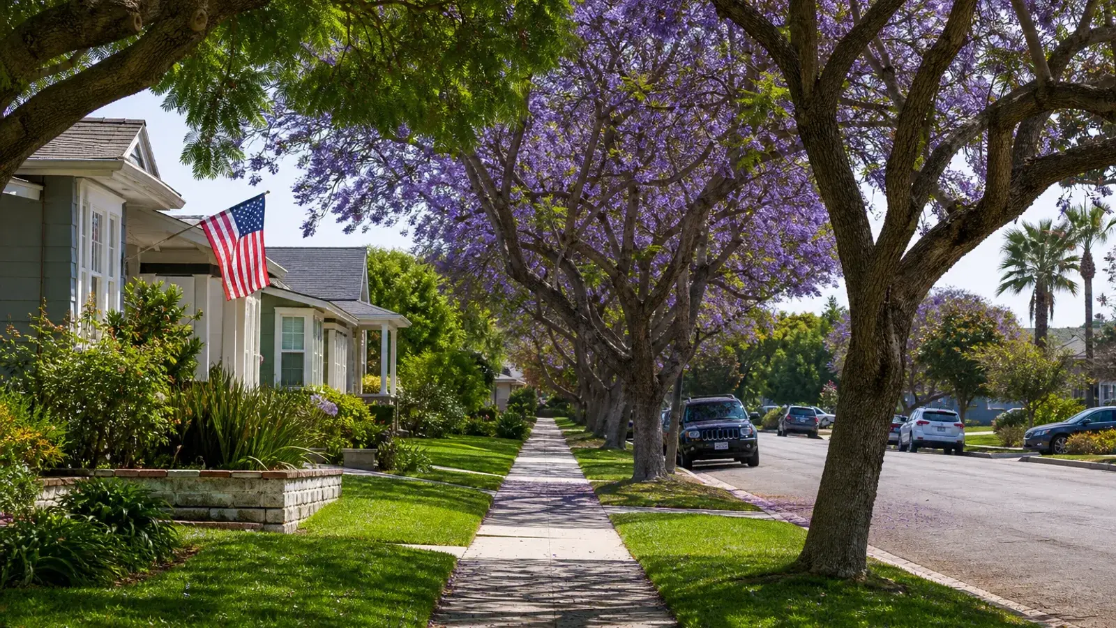 Quiet suburban Costa Mesa sidewalk with jacaranda shade — tummy tuck wellness lifestyle | SurgiSculpt®