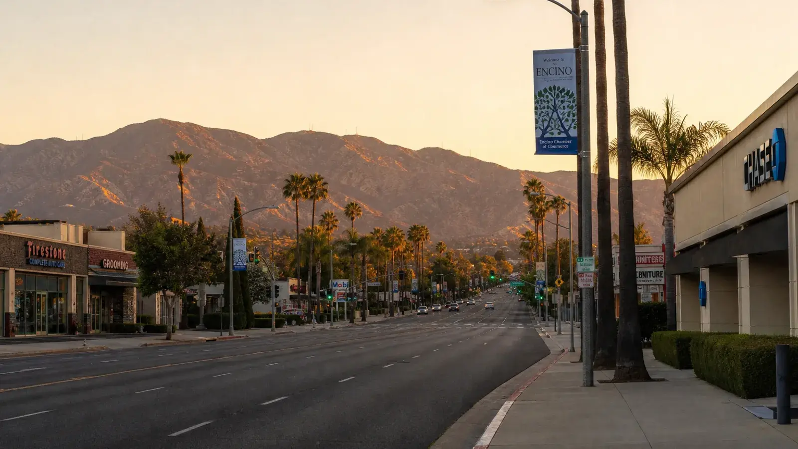 Ventura Boulevard Encino at golden hour with Valley palms — HD Liposuction lifestyle | SurgiSculpt®
