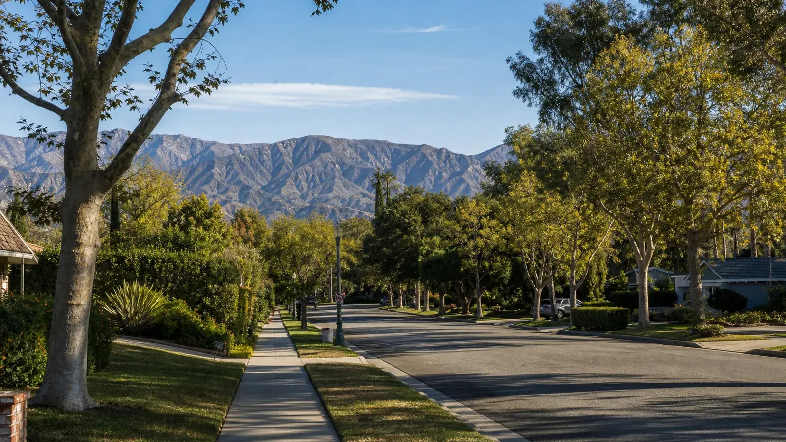 Tree-lined Encino residential street with mountain views north — HD lipo lifestyle | SurgiSculpt®