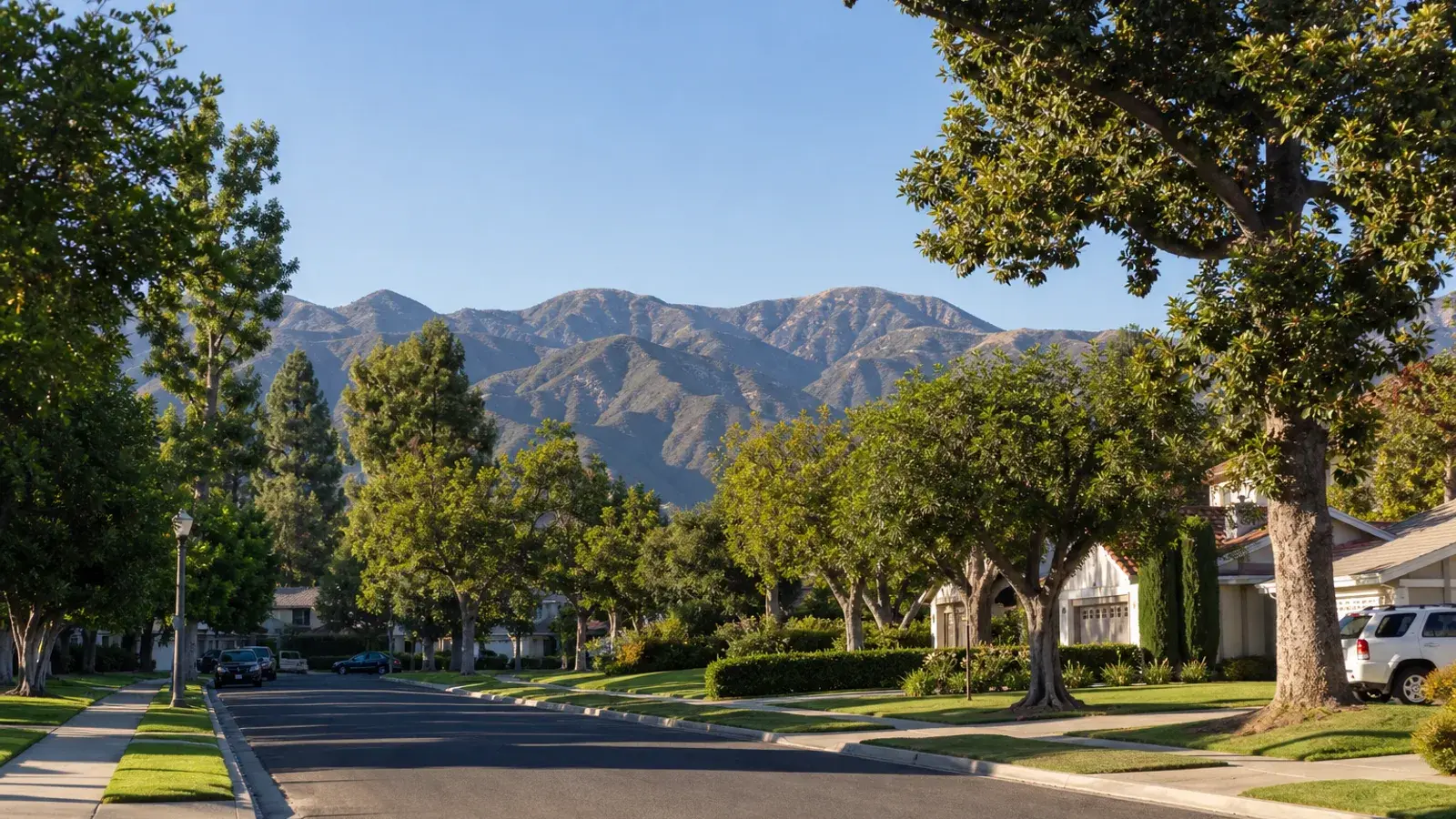 Tree-lined Encino family homes with mountain backdrop — mommy makeover lifestyle | SurgiSculpt®