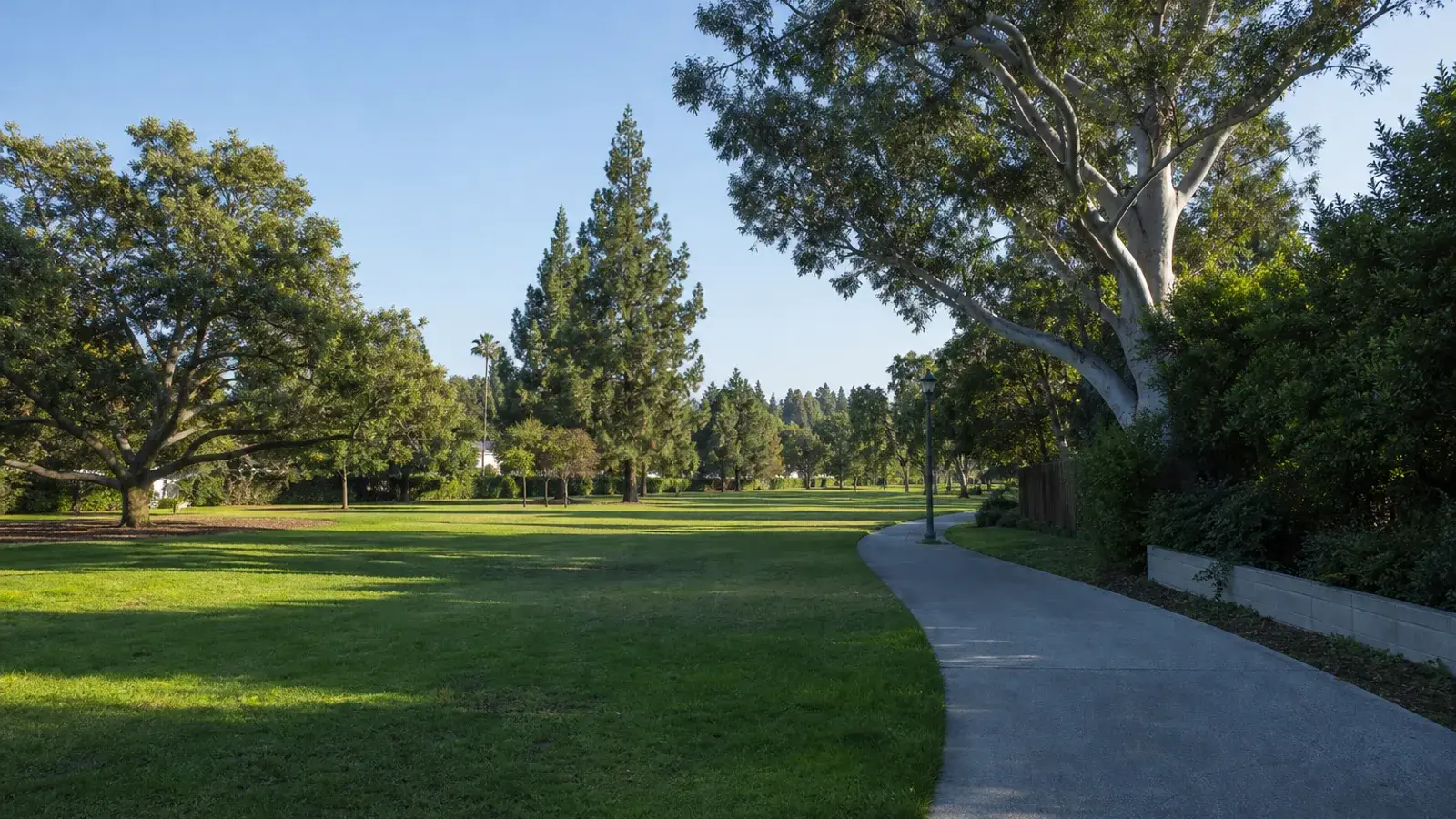 Encino neighborhood park greenway morning — mommy makeover context | SurgiSculpt®