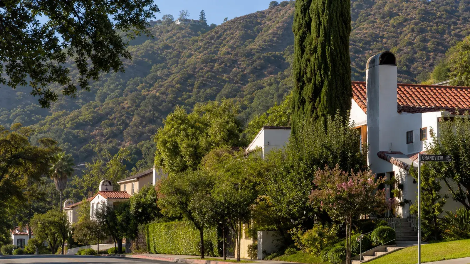 Tree-lined Glendale hillside residential street — BBL proportion lifestyle mood | SurgiSculpt®