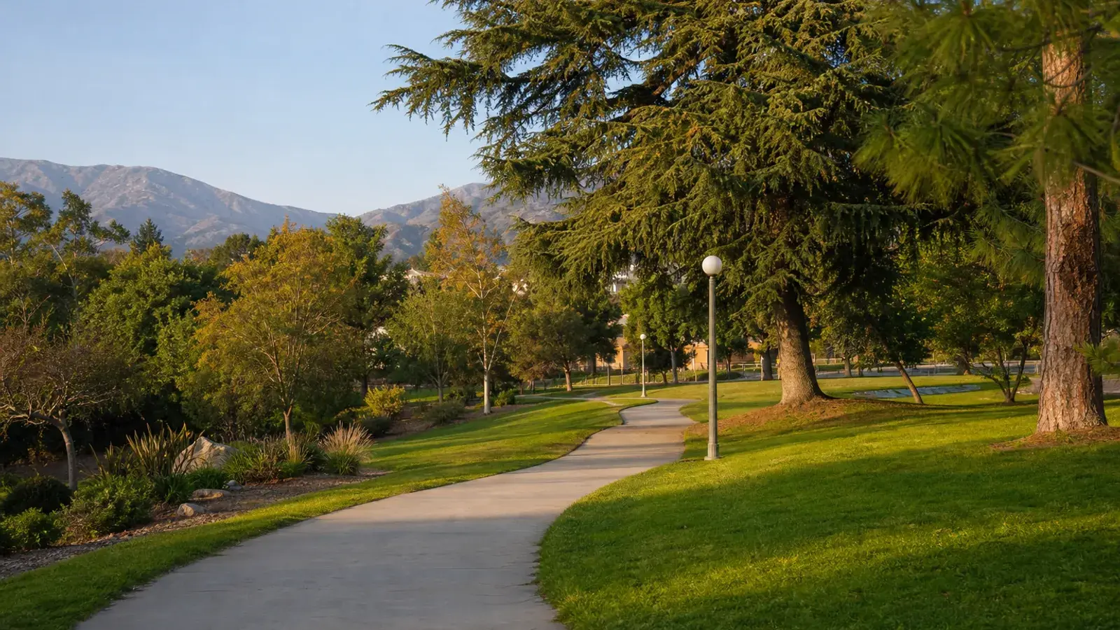 Glendale neighborhood park pathway afternoon light for BBL recovery mood | SurgiSculpt®