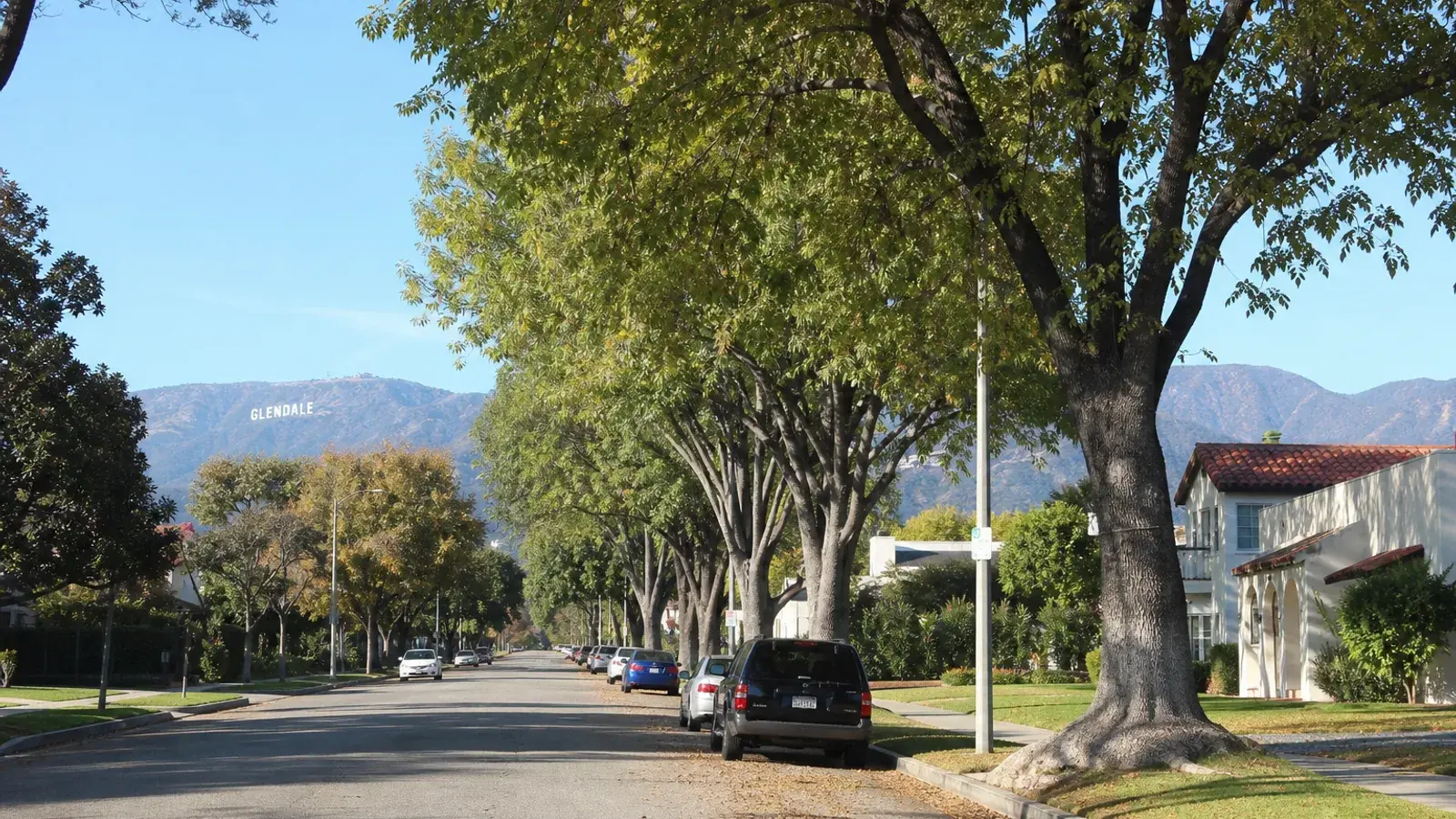 Tree-lined Glendale residential street for mommy makeover lifestyle context | SurgiSculpt®