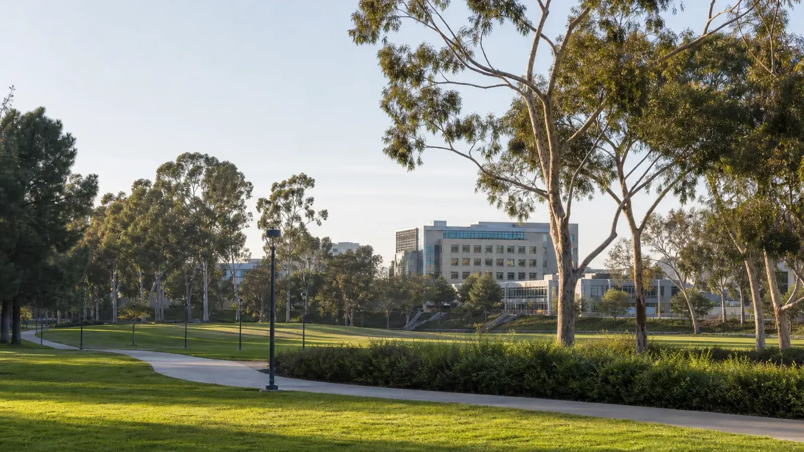 UC Irvine campus greens and eucalyptus paths in soft morning light — HD lipo lifestyle | SurgiSculpt®