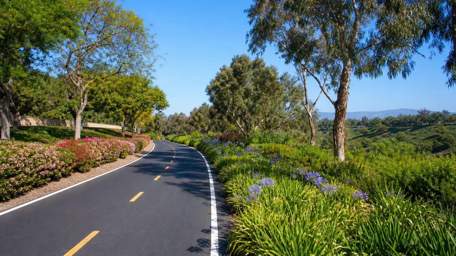 Irvine bike trail through landscaped master-planned greenbelt — HD Liposuction context | SurgiSculpt®