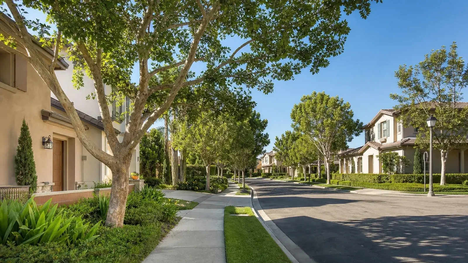 Irvine tree-lined residential village street — mommy makeover lifestyle | SurgiSculpt®