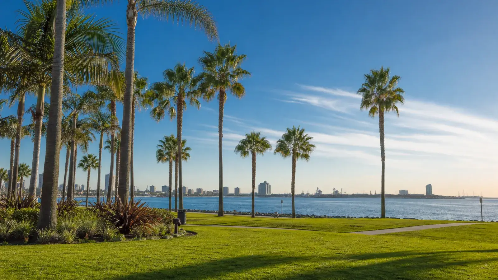 Long Beach oceanfront park with palms — mommy makeover lifestyle | SurgiSculpt®