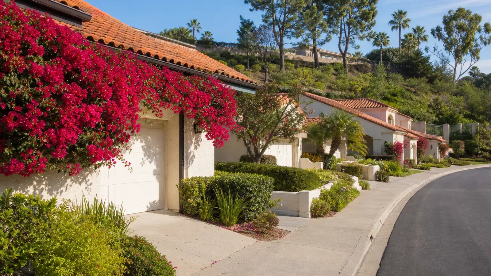 Mediterranean-style Laguna Niguel residential street with bougainvillea — mommy makeover context | SurgiSculpt®
