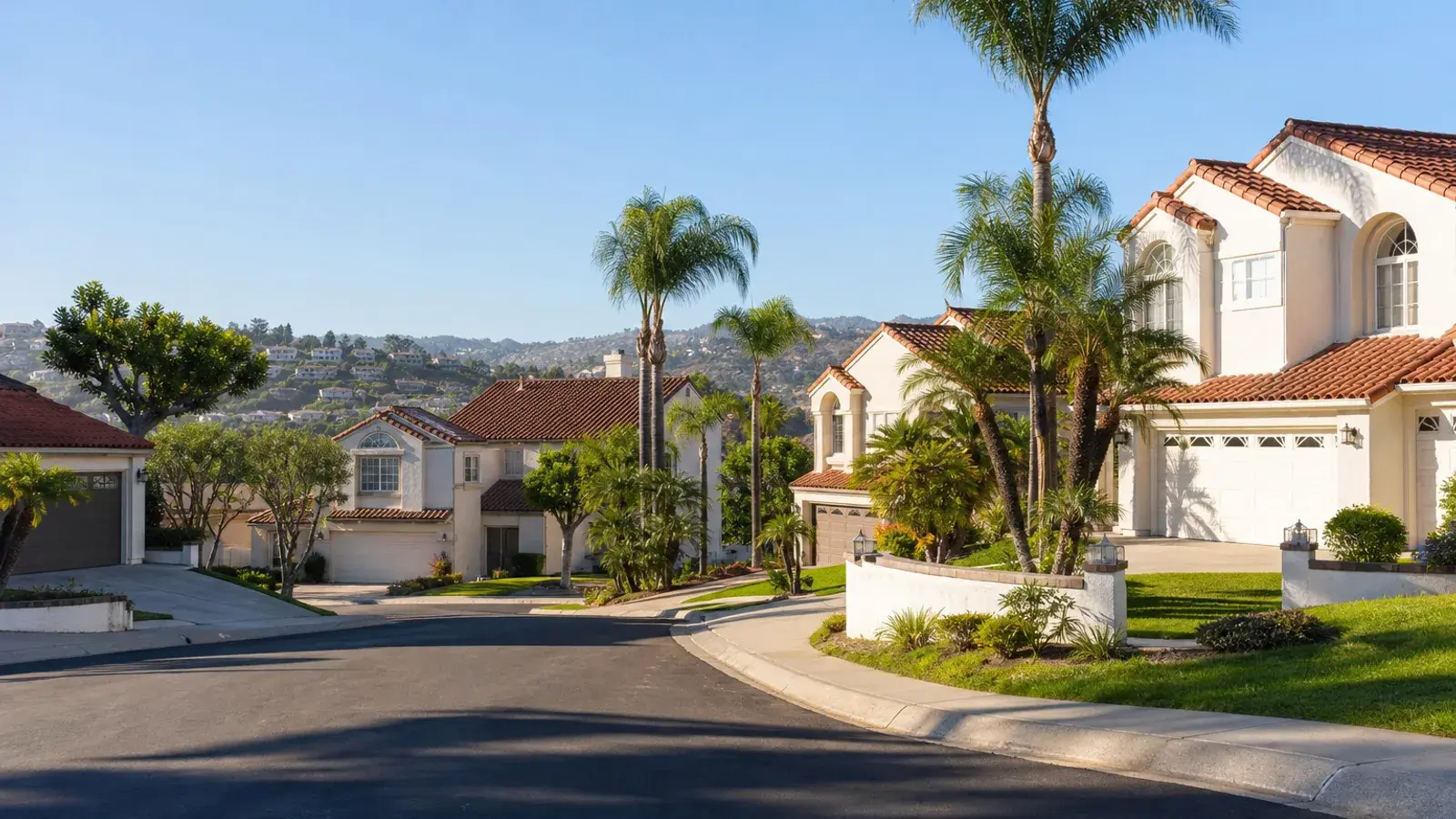Quiet Laguna Niguel hillside cul-de-sac with palms — tummy tuck recovery mood | SurgiSculpt®