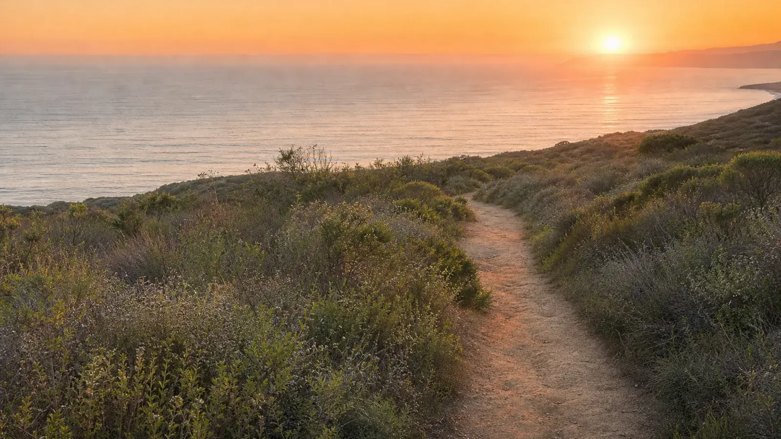 Laguna Niguel coastal trail sunrise with soft ocean haze — tummy tuck wellness lifestyle | SurgiSculpt®