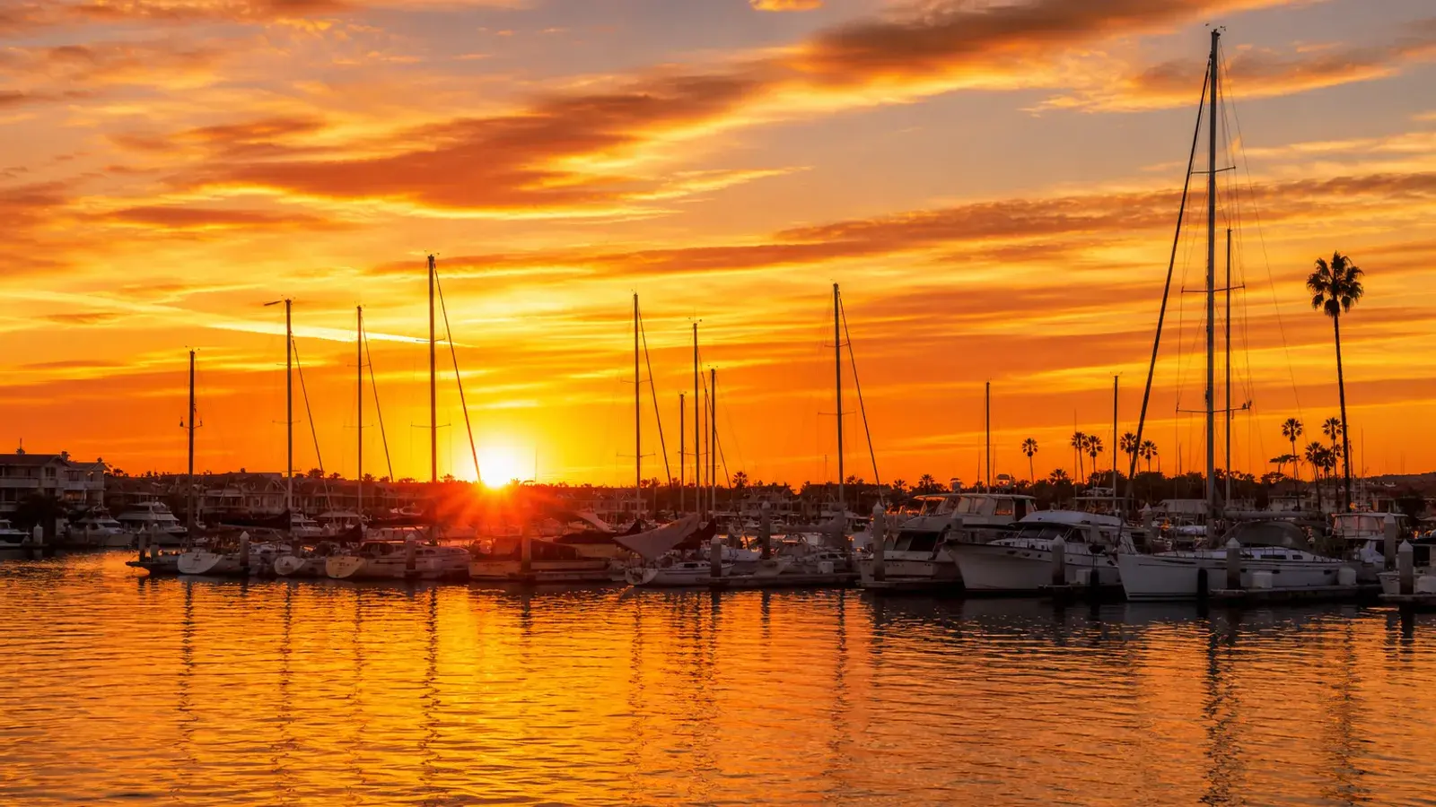 Newport Harbor sunset marina light — BBL coastal lifestyle context | SurgiSculpt®