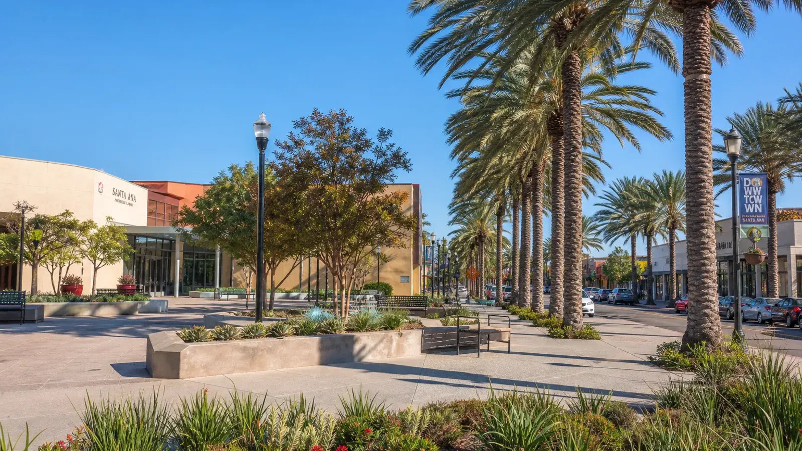 Santa Ana palm avenue and outdoor plaza afternoon sun — BBL lifestyle | SurgiSculpt®
