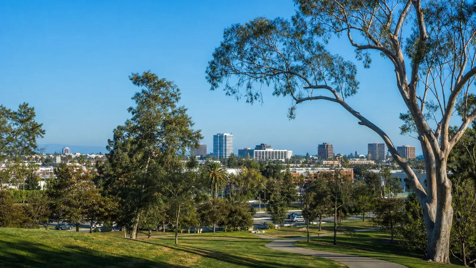 Santa Ana park canopy with urban OC skyline edge — tummy tuck wellness | SurgiSculpt®