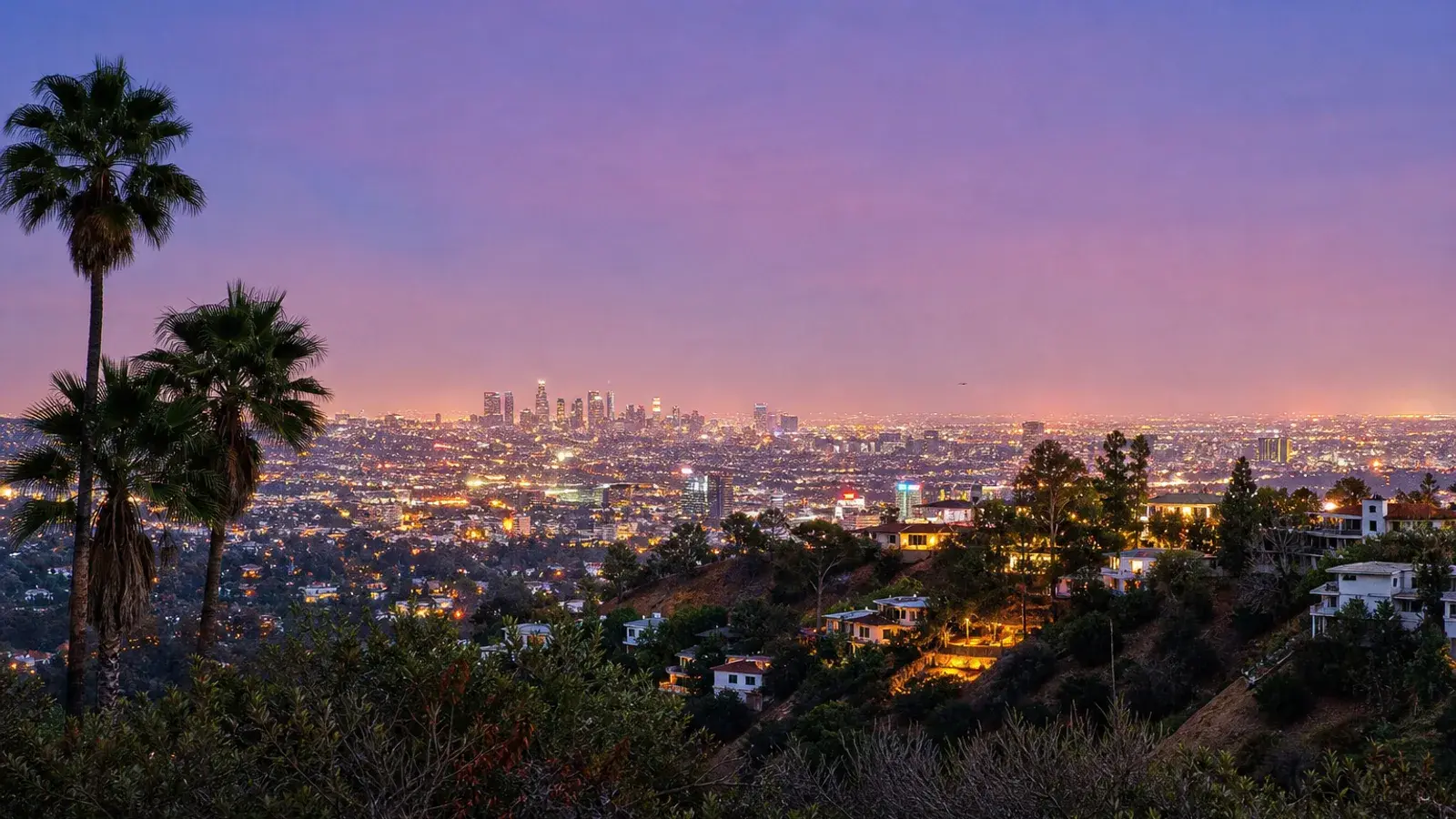 Hills above West Hollywood overlooking the basin at dusk | SurgiSculpt®