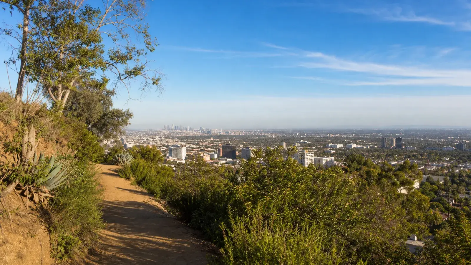 West Hollywood hillside path with city views — tummy tuck wellness context | SurgiSculpt®