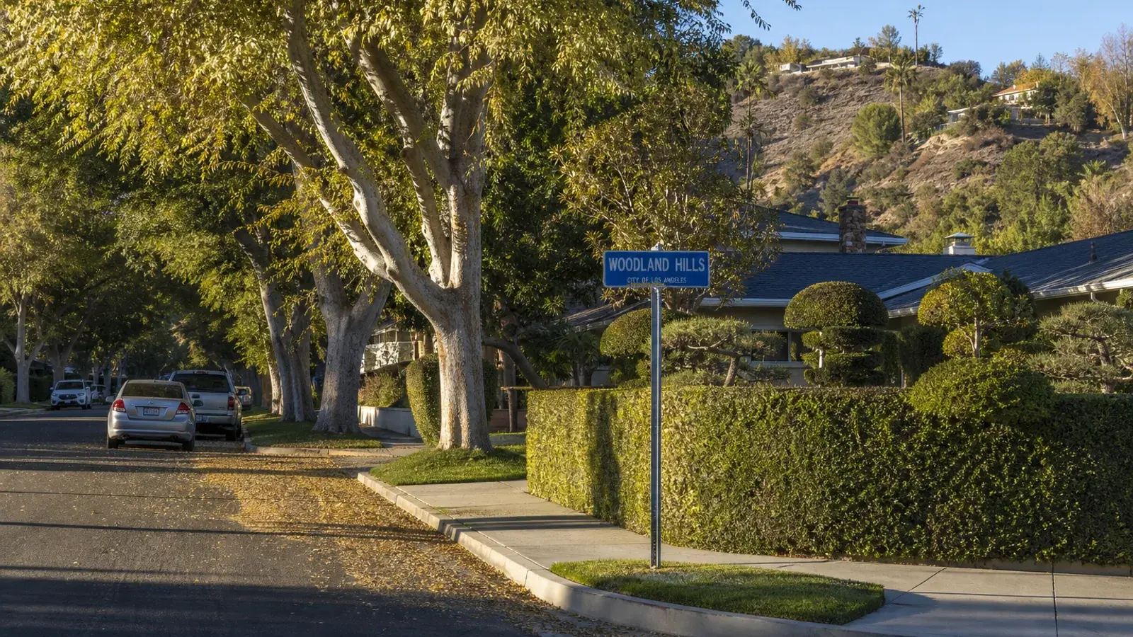 Tree-lined suburban Woodland Hills street in warm afternoon light — BBL lifestyle | SurgiSculpt®