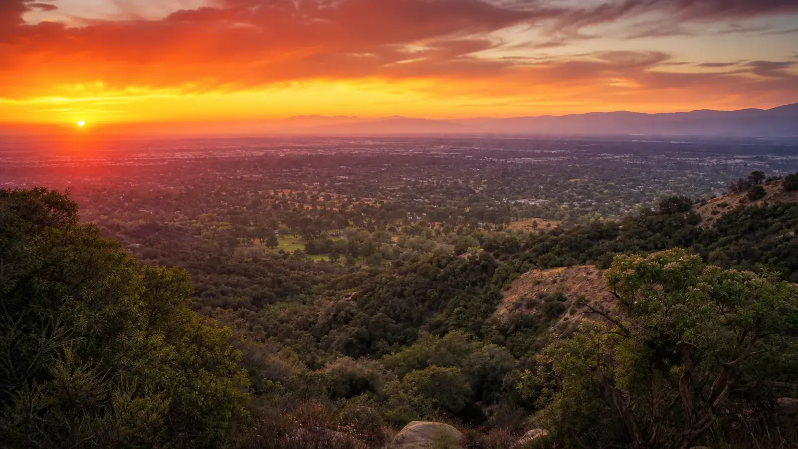 Canyon overlook above Woodland Hills hills at sunset — BBL recovery mood | SurgiSculpt®