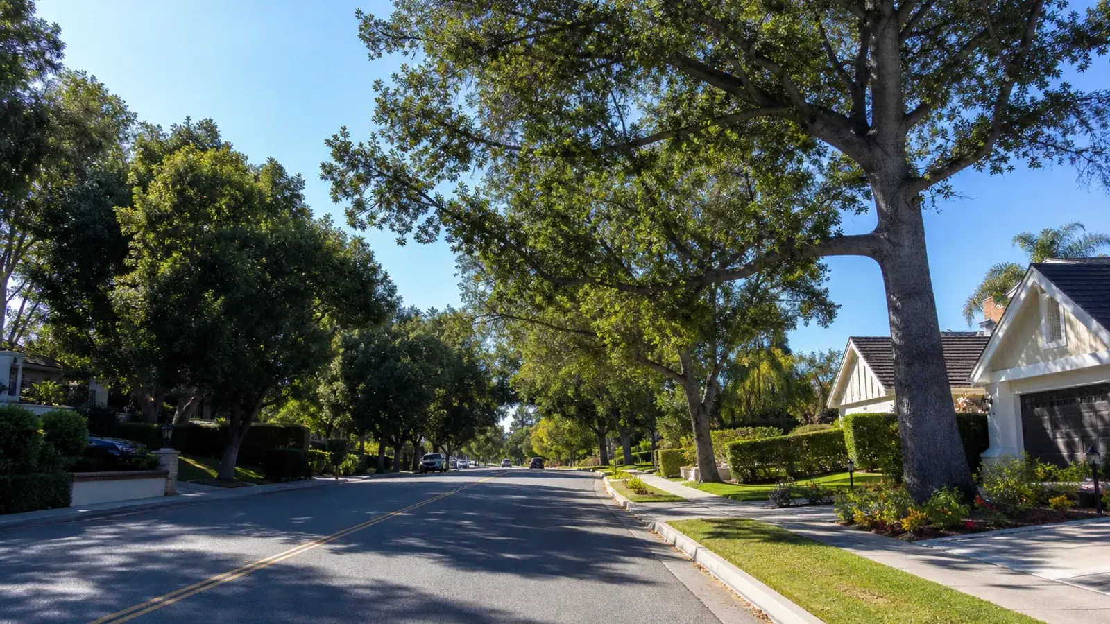 Suburban Woodland Hills family neighborhood exteriors with oaks — mommy makeover lifestyle | SurgiSculpt®