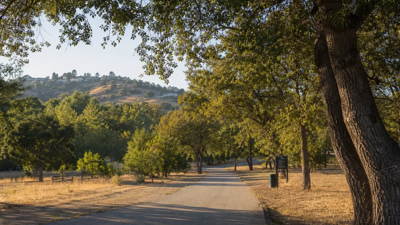 Oak landscape park path in Woodland Hills — tummy tuck wellness lifestyle | SurgiSculpt®