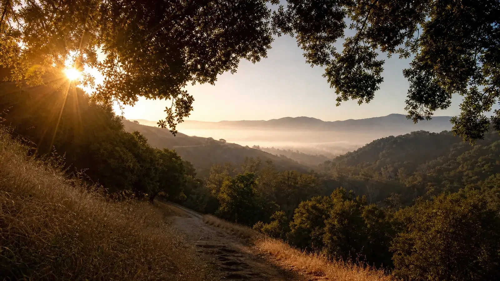 Morning canyon light over Woodland Hills hillsides — tummy tuck lifestyle context | SurgiSculpt®