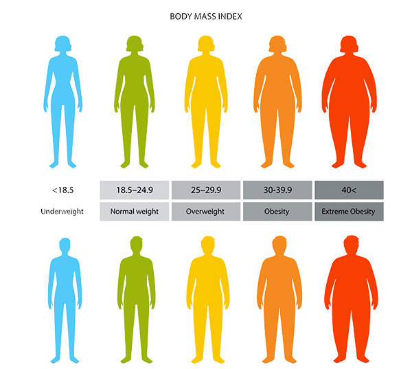 BMI chart