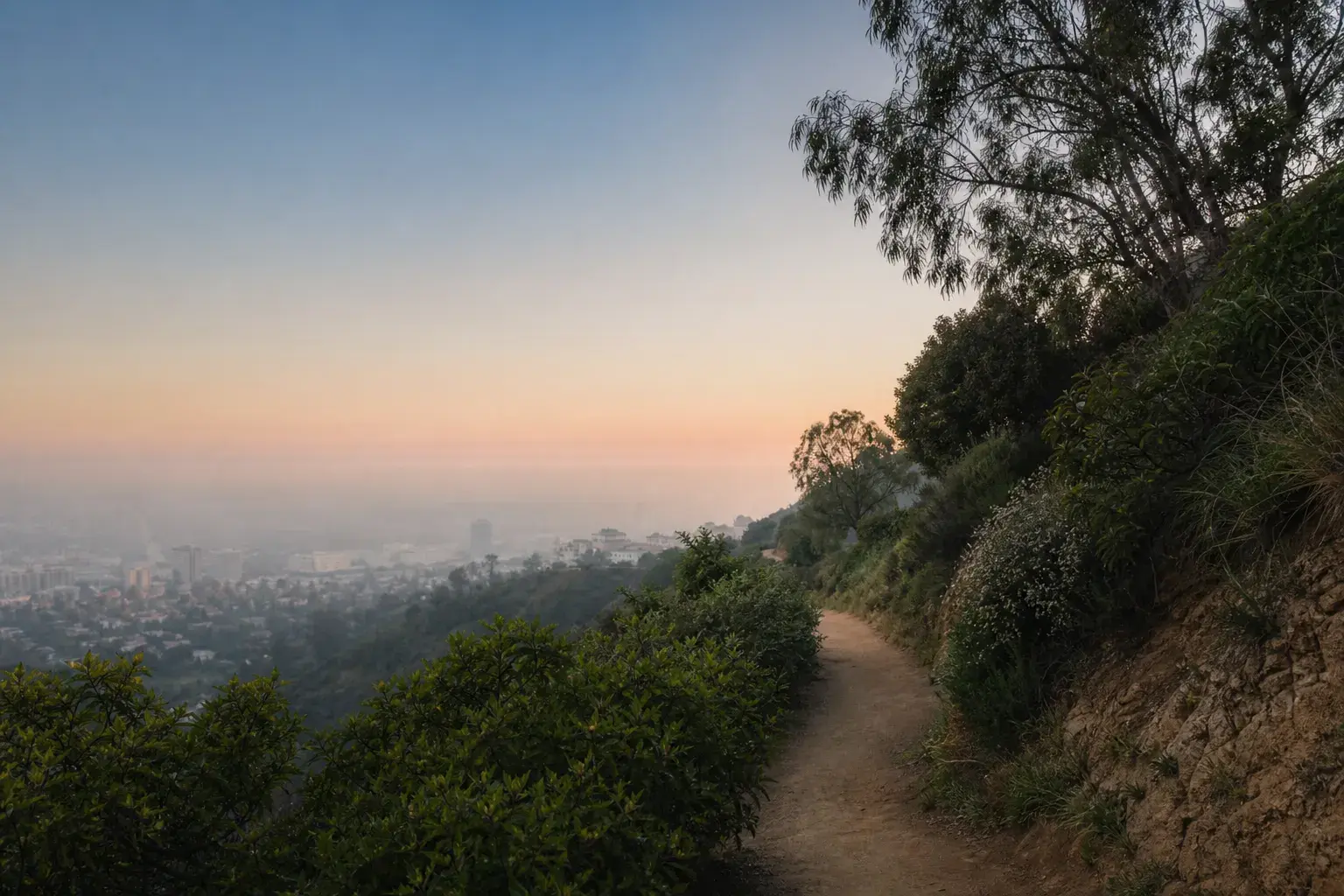Dawn hillside trail near Beverly Hills for gynecomastia lifestyle context Dawn hillside trail near Beverly Hills for gynecomastia lifestyle context | SurgiSculpt®