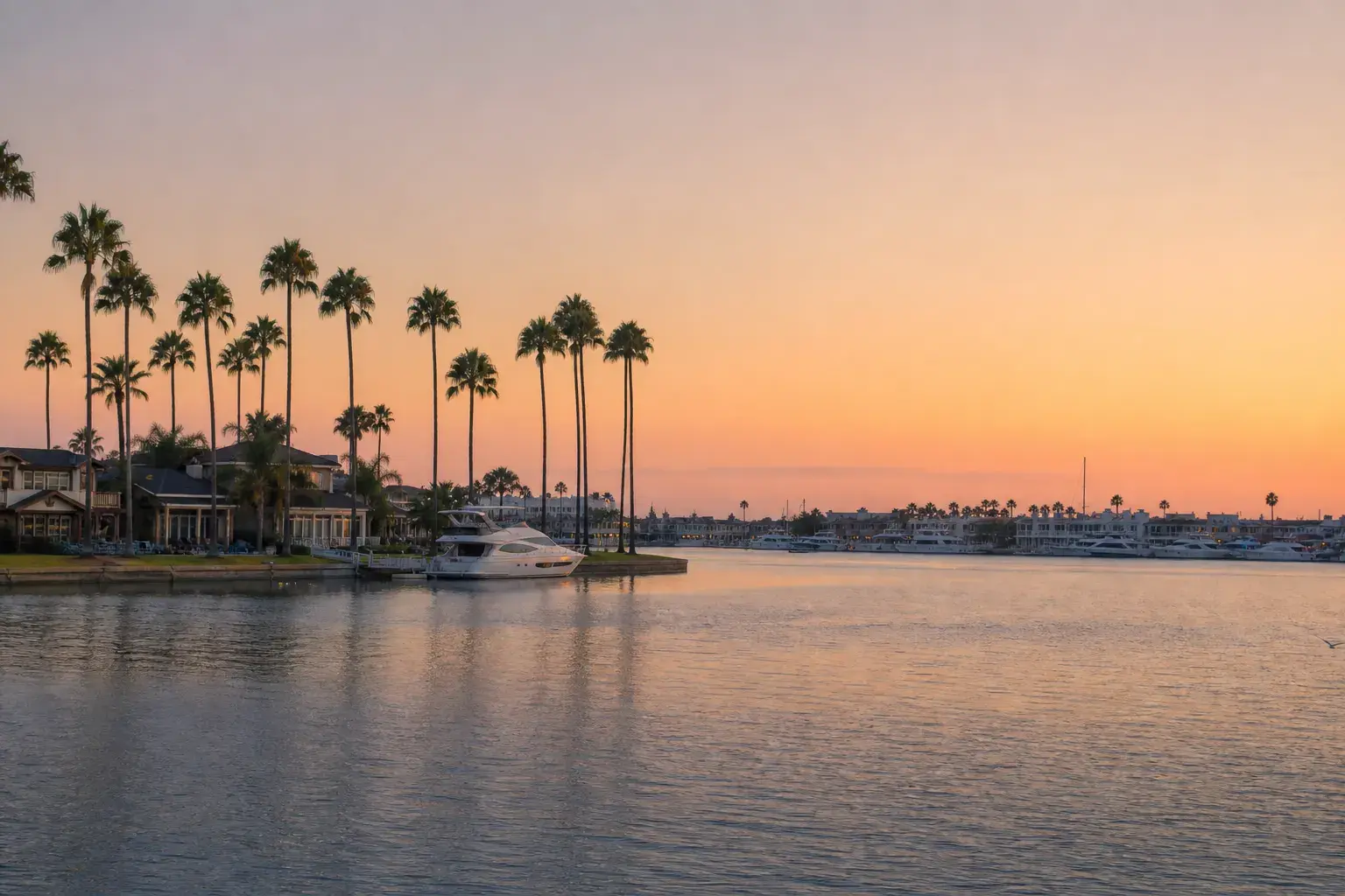 High-Definition Liposuction in Newport Beach, California | SurgiSculpt® High-Definition Liposuction in Newport Beach, California | SurgiSculpt®