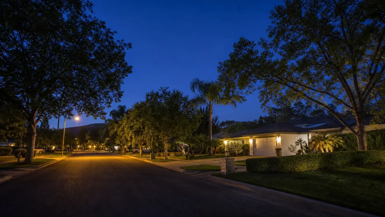 Quiet Encino street at blue hour — discreet gynecomastia logistics mood Quiet Encino street at blue hour — discreet gynecomastia logistics mood | SurgiSculpt®