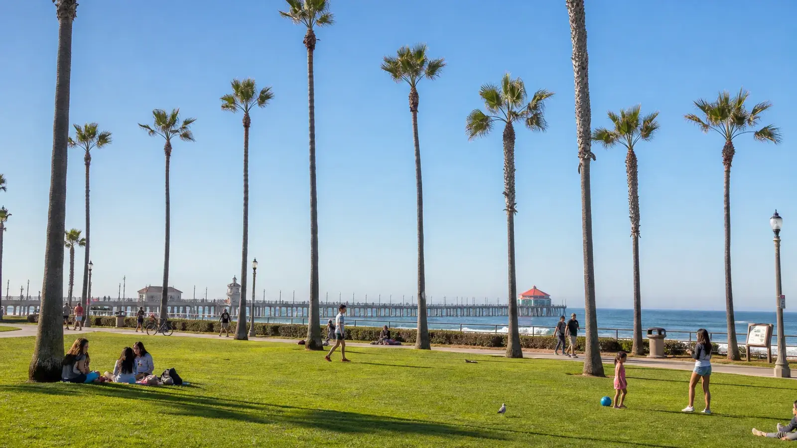 Huntington Beach oceanfront park with palms and pier view — mommy makeover lifestyle Huntington Beach oceanfront park with palms and pier view — mommy makeover lifestyle | SurgiSculpt®