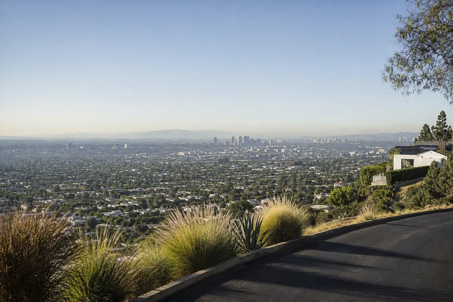 Quiet Los Angeles hillside morning view for gynecomastia patients traveling to SurgiSculpt® Quiet Los Angeles hillside morning view for gynecomastia patients traveling to SurgiSculpt®