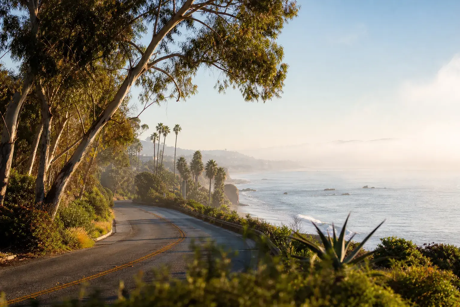 Coastal Southern California morning drive between Los Angeles and Laguna Beach for surgery day logistics Coastal Southern California morning drive between Los Angeles and Laguna Beach for surgery day logistics | SurgiSculpt®