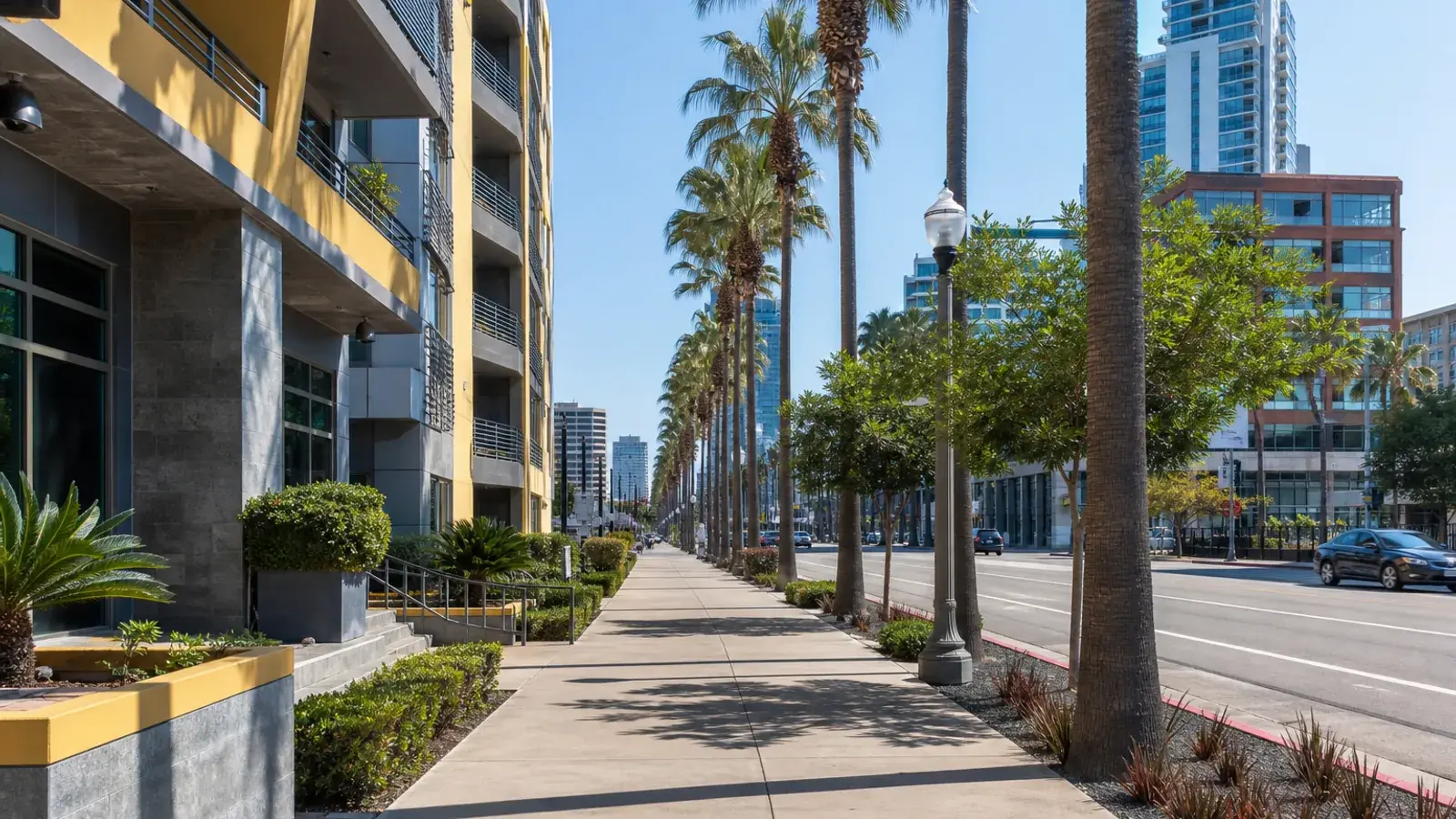 Palm-lined Long Beach downtown outdoor street — discreet gynecomastia logistics Palm-lined Long Beach downtown outdoor street — discreet gynecomastia logistics | SurgiSculpt®