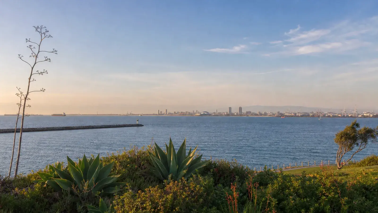 Long Beach shoreline overlook toward harbor horizon — gynecomastia lifestyle Long Beach shoreline overlook toward harbor horizon — gynecomastia lifestyle | SurgiSculpt®