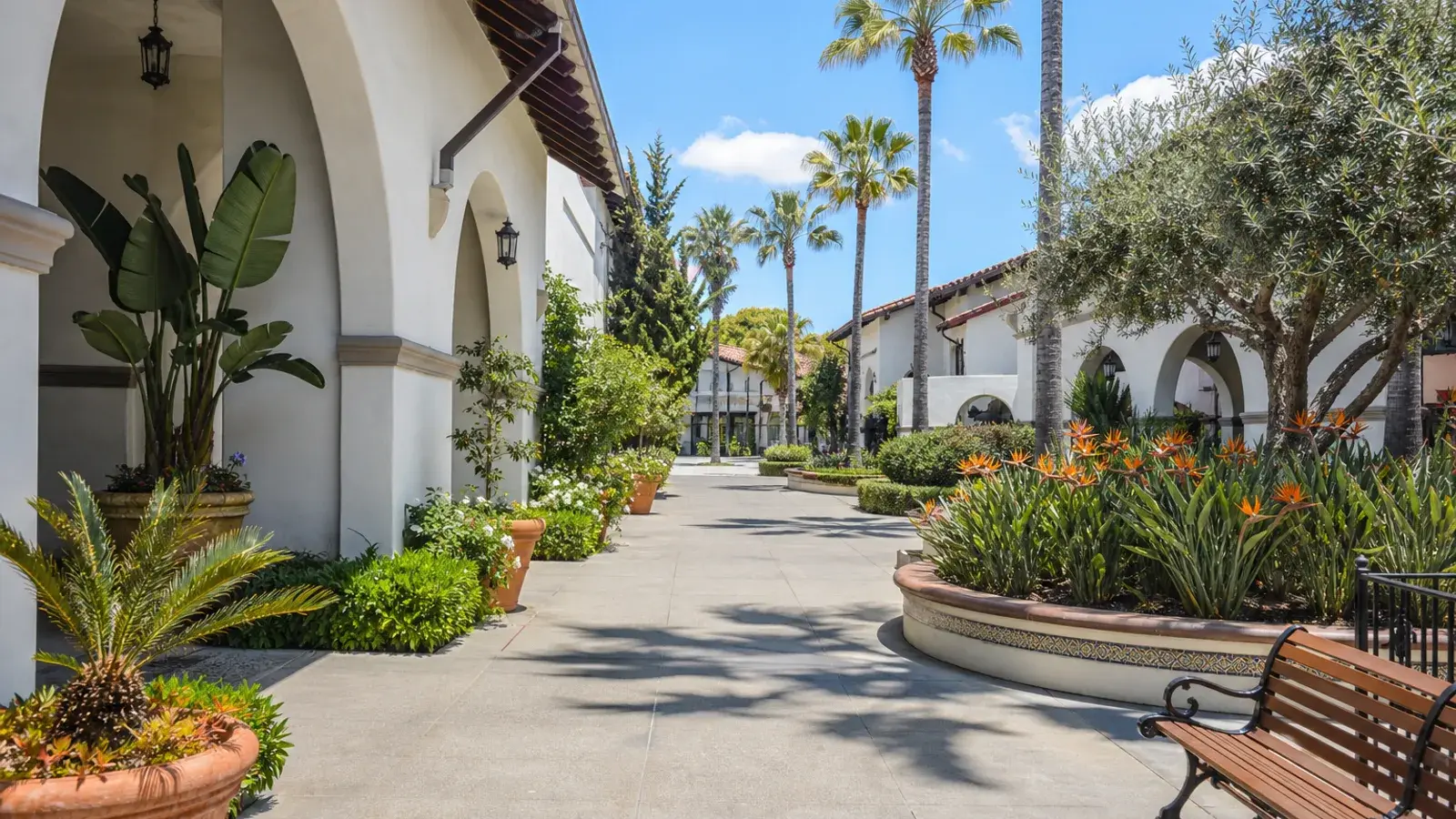 Palm-lined Laguna Niguel outdoor plaza walkway — breast augmentation lifestyle Palm-lined Laguna Niguel outdoor plaza walkway — breast augmentation lifestyle | SurgiSculpt®