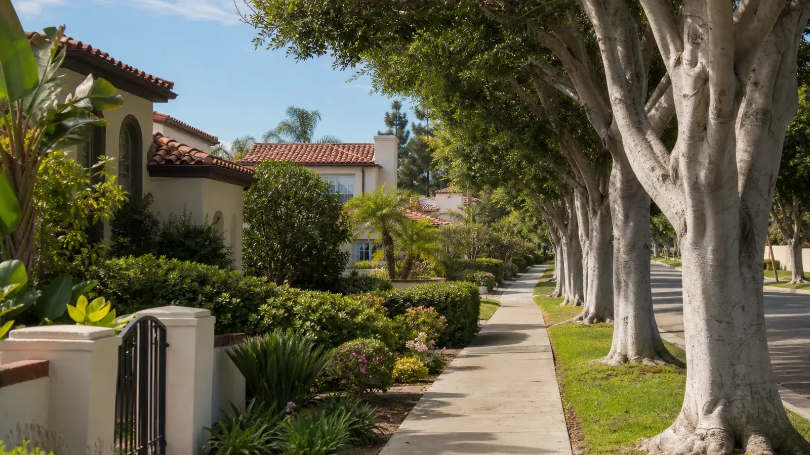 Tree-lined Laguna Niguel residential walkway with Mediterranean homes — BBL lifestyle Tree-lined Laguna Niguel residential walkway with Mediterranean homes — BBL lifestyle | SurgiSculpt®