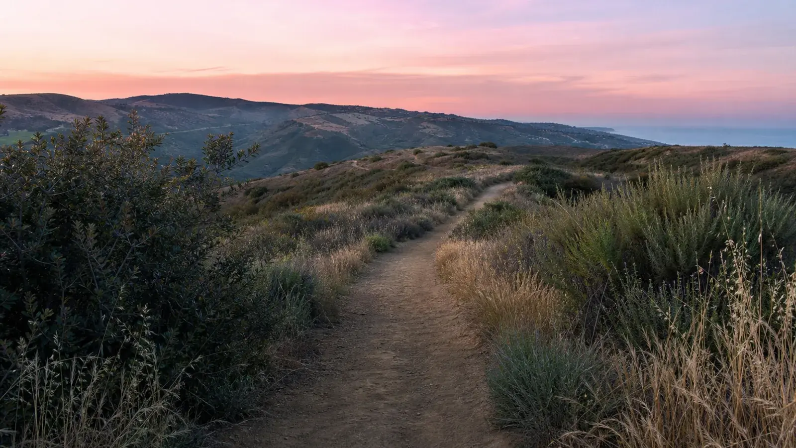 Laguna Niguel hillside trail at dawn — gynecomastia lifestyle fitness context Laguna Niguel hillside trail at dawn — gynecomastia lifestyle fitness context | SurgiSculpt®