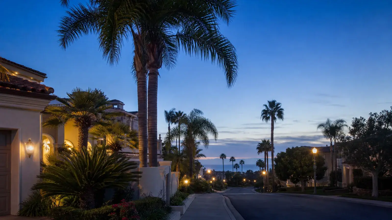 Palm-lined Laguna Niguel coastal-adjacent street at blue hour — discreet gynecomastia logistics Palm-lined Laguna Niguel coastal-adjacent street at blue hour — discreet gynecomastia logistics | SurgiSculpt®