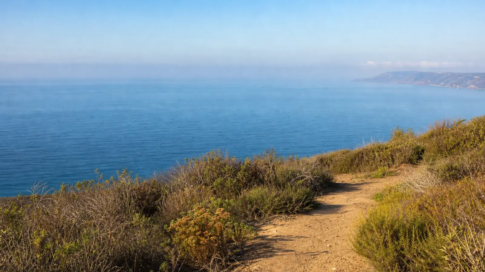 Ocean overlook from Laguna Niguel ridge path morning light — gynecomastia lifestyle Ocean overlook from Laguna Niguel ridge path morning light — gynecomastia lifestyle | SurgiSculpt®