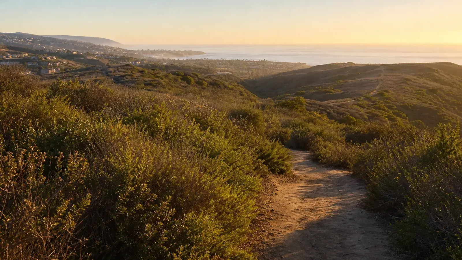 Salt Creek hillside trail with ocean glimpse at golden hour — HD Liposuction Laguna Niguel lifestyle Salt Creek hillside trail with ocean glimpse at golden hour — HD Liposuction Laguna Niguel lifestyle | SurgiSculpt®