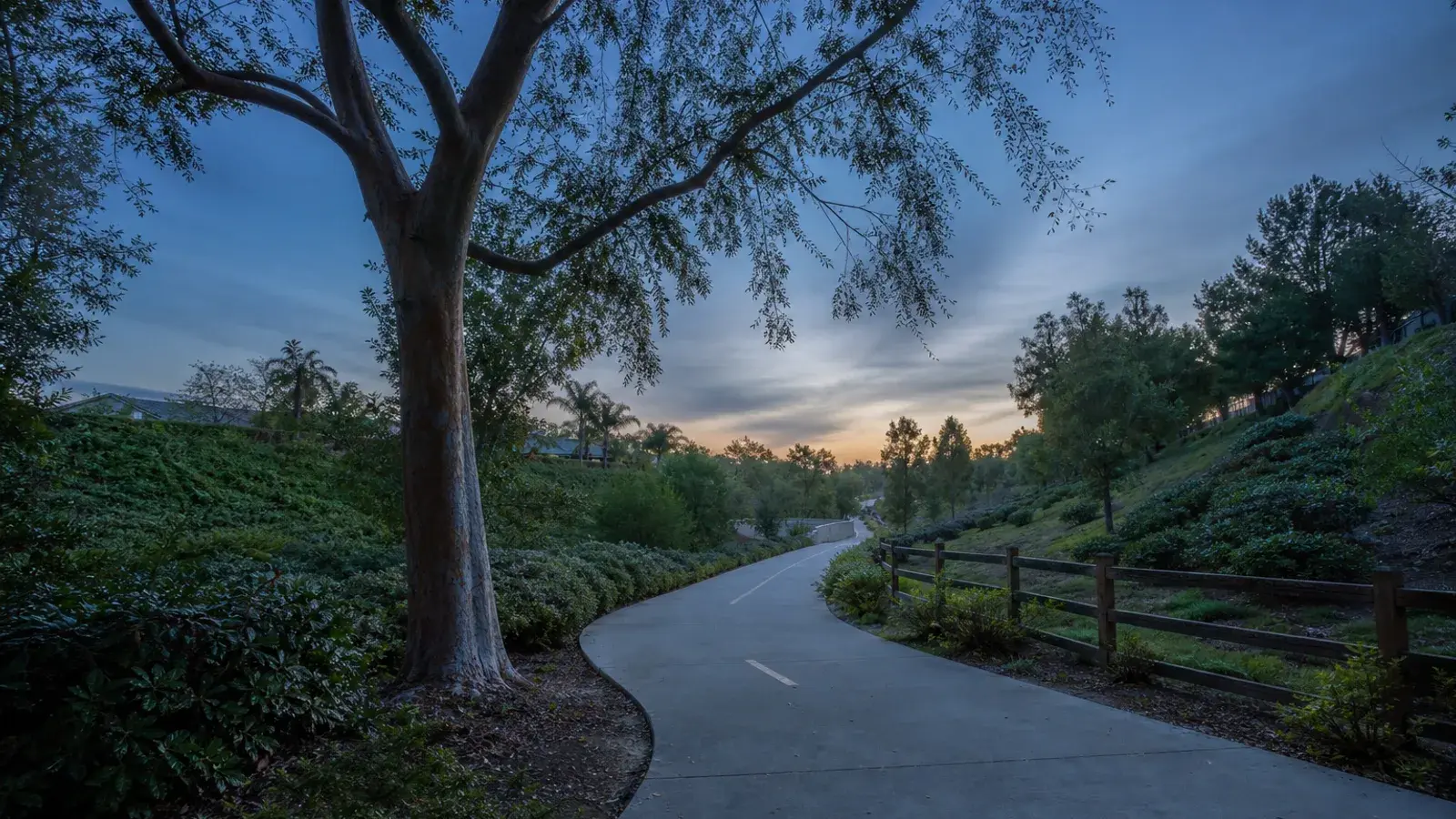 Oso Creek trail at dawn through Mission Viejo greenbelt — gynecomastia lifestyle Oso Creek trail at dawn through Mission Viejo greenbelt — gynecomastia lifestyle | SurgiSculpt®