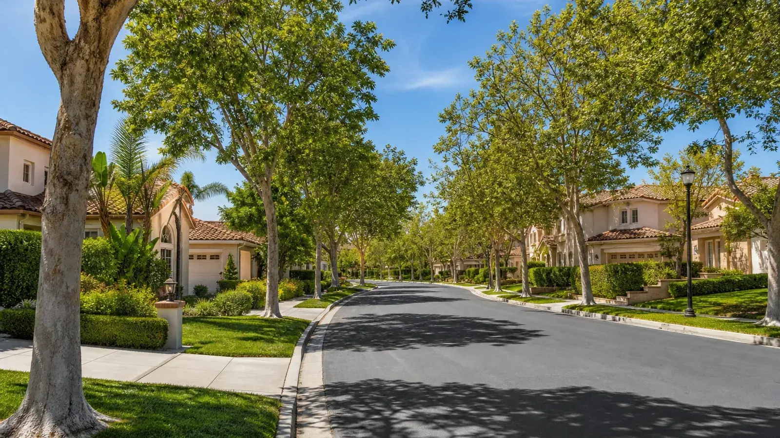 Mission Viejo tree-lined residential neighborhood — mommy makeover lifestyle Mission Viejo tree-lined residential neighborhood — mommy makeover lifestyle | SurgiSculpt®